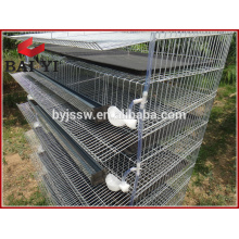 Large Scale Quail Breeding Cage